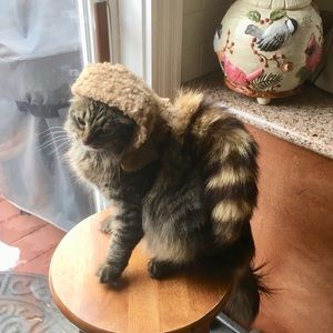 Meet your Posher, Rick